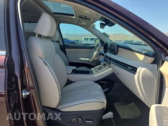 2023 Hyundai Palisade Limited - miniatura 8