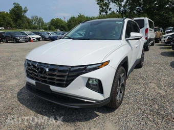 2023 Hyundai Tucson Limited - car from the USA, Manheim Buy-Now listing at AUTOMAX