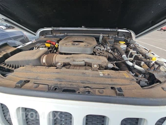 2023 Jeep Wrangler 4 Door Sahara - miniatura 15