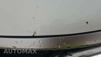 2023 Kia Carnival MPV EX 121.7" WB - miniatura 31