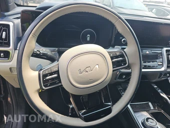 2023 Kia Sorento Plug-In Hybrid SX-Prestige - miniatura 37