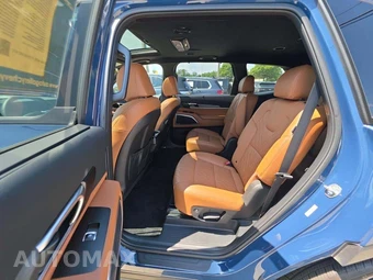 2023 Kia Telluride EX X-Line - miniatura 13
