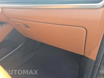 2023 Kia Telluride EX X-Line - miniatura 17