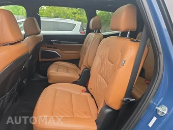 2023 Kia Telluride SX X-Line - miniatura 16