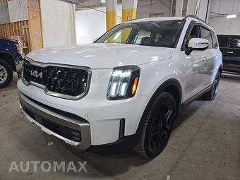 2023 Kia Telluride X-Line w/Terracotta Brown Leather