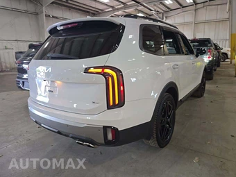 2023 Kia Telluride X-Line w/Terracotta Brown Leather - miniatura 3