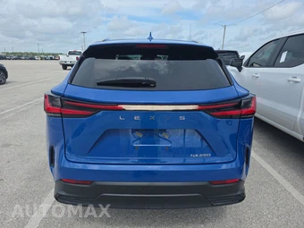 2023 Lexus NX 250 Premium – miniatura 5