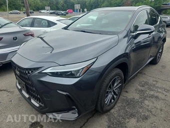 2023 Lexus NX 350 Premium