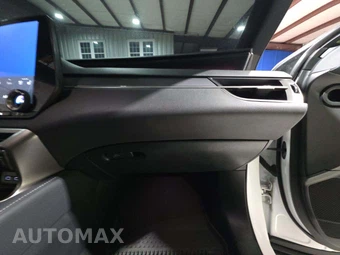 2023 Lexus RX 350 F SPORT Handling - miniatura 19
