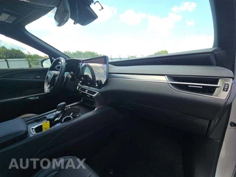 2023 Lexus RX 350 F SPORT Handling - miniatura 16