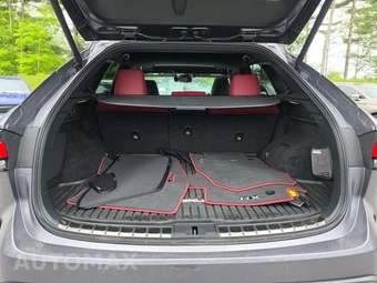 2023 Lexus RX 350 F SPORT Handling - miniatura 11