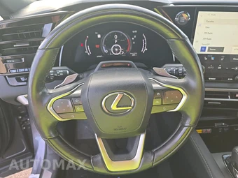 2023 Lexus RX 350 Luxury – miniatura 10