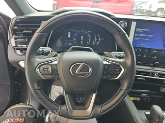 2023 Lexus RX 350 Premium - miniatura 10