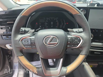 2023 Lexus RX 350 Premium – miniatura 10