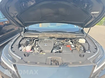 2023 Lexus RX 350 Premium - miniatura 19