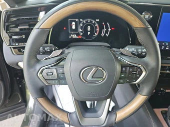 2023 Lexus RX 350 Premium - miniatura 10