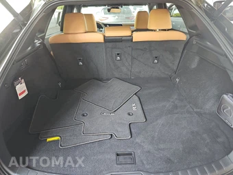 2023 Lexus RX 350 Premium - miniatura 16