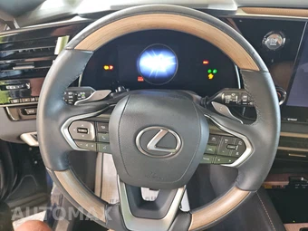 2023 Lexus RX 350 Premium - miniatura 10