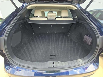 2023 Lexus RX 350 Premium - miniatura 14