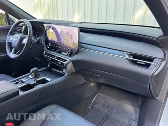 2023 Lexus RX 350 Premium Plus - miniatura 13