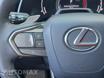 2023 Lexus RX 350 Premium Plus - miniatura 21