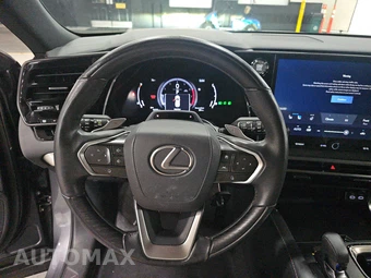 2023 Lexus RX 350 Premium Plus – miniatura 10