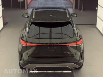 2023 Lexus RX 350 Premium Plus – miniatura 5