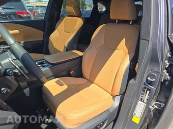 2023 Lexus RX 350 Premium Plus – miniatura 6