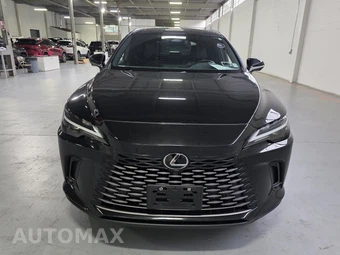 2023 Lexus RX 350 Premium Plus - miniatura 23