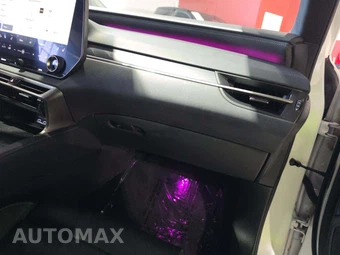 2023 Lexus RX 350h Luxury – miniatura 19