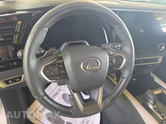 2023 Lexus RX 350h Premium Plus – miniatura 10