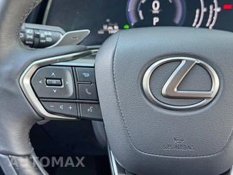 2023 Lexus RX 350h Premium Plus - miniatura 22