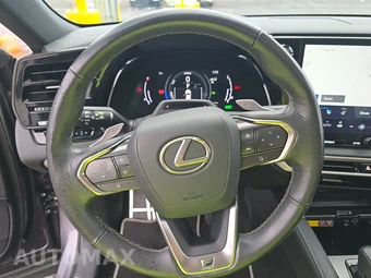 2023 Lexus RX 500h F SPORT Performance - miniatura 10