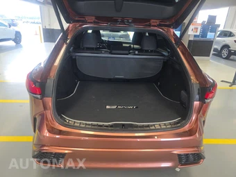 2023 Lexus RX 500h F SPORT Performance - miniatura 16