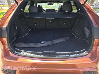 2023 Lexus RX 500h F SPORT Performance - miniatura 14