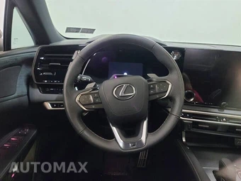 2023 Lexus RX 500h F SPORT Performance - miniatura 8