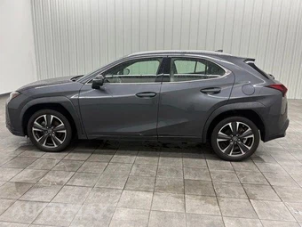 2023 Lexus UX 250h - miniatura 6