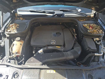 2023 Mercedes-Benz GLE 350 4MATIC – miniatura 15