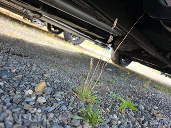 2023 Ram 1500 Limited Longhorn Crew Cab Short Bed - miniatura 17