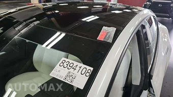 2023 Tesla Model 3 Standard Range - miniatura 18