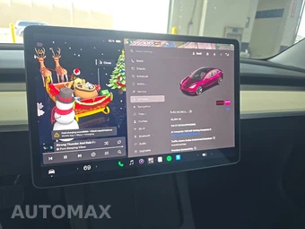 2023 Tesla Model 3 Standard Range - miniatura 12