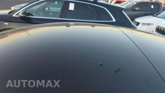 2023 Tesla Model 3 Standard Range - miniatura 23