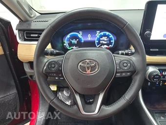 2023 Toyota RAV4 Hybrid Limited - miniatura 10