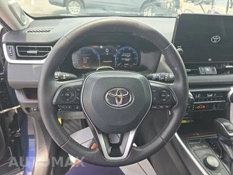 2023 Toyota RAV4 Hybrid Limited - miniatura 10