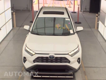 2023 Toyota RAV4 Hybrid Limited - miniatura 2