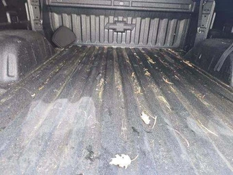 2024 Chevrolet Silverado 1500 RST Crew Cab Short Bed 1SP - miniatura 15