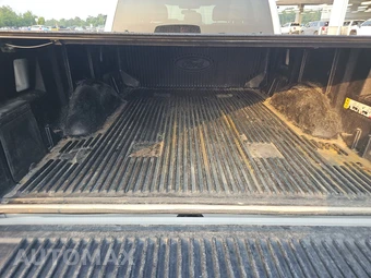 2024 Ford F-150 Hybrid XLT Crew Cab Medium Bed - miniatura 16