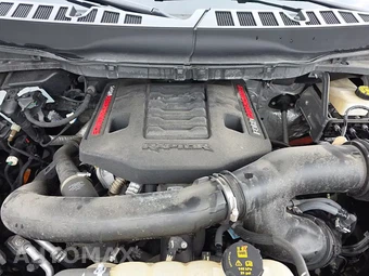 2024 Ford F-150 Raptor Crew Cab Short Bed - miniatura 22