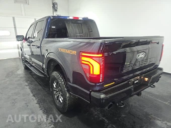 2024 Ford F-150 Tremor Crew Cab Short Bed - miniatura 6