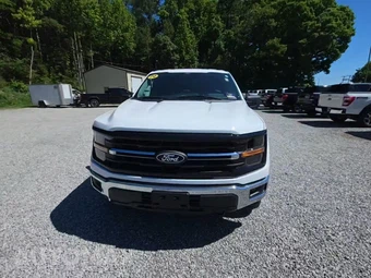 2024 Ford F-150 XLT Crew Cab Medium Bed - miniatura 2